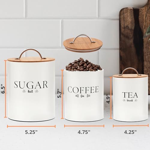 D'Lifeful 3PC Airtight Tea Cof - Coffee Tea Canister Set recensione e prezzo