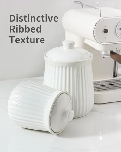 HASENSE 35 oz Airtight Kitchen - Coffee Tea Canister Set recensione e prezzo
